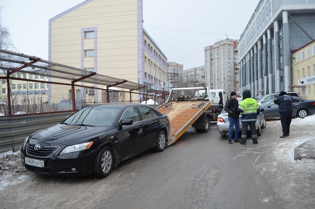 Новосибирского «паркмена» арестовали на двое суток